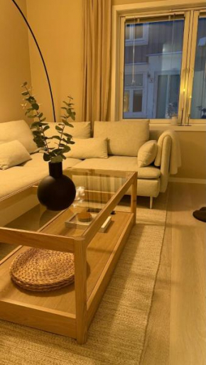 Delicate Central Apartment Trondheim